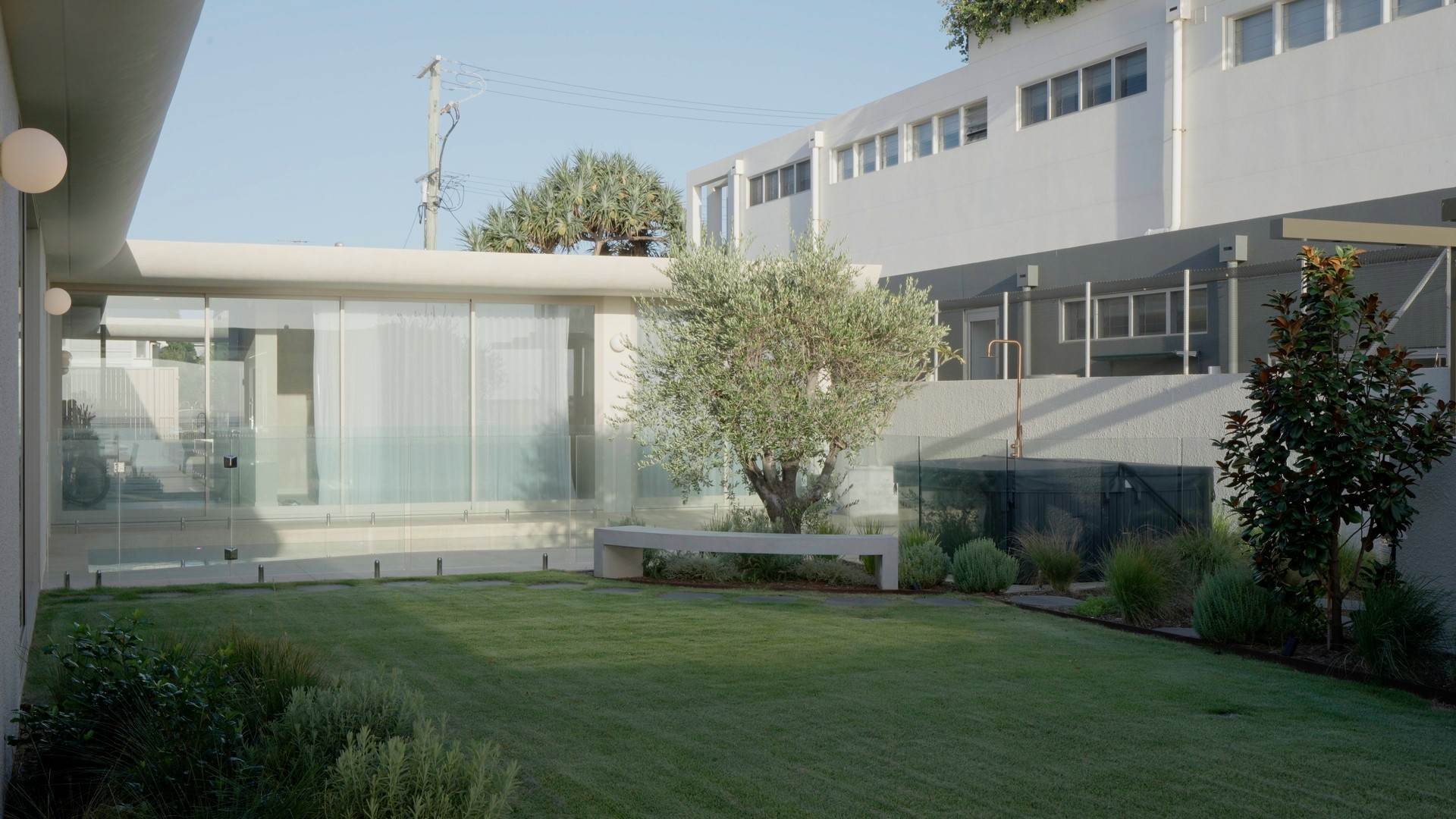 Courtyard garden with olive tree, curved concrete bench and pool behind glass